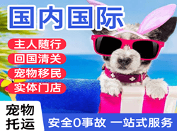 音布鲁克国际宠物托运 【国